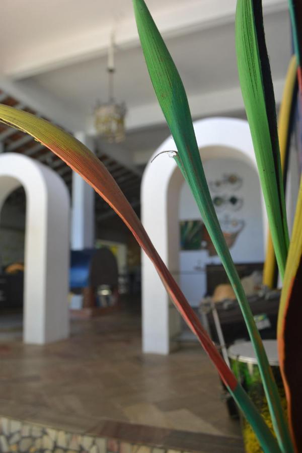 Auberge de jeunesse Banana Leaf Eco *